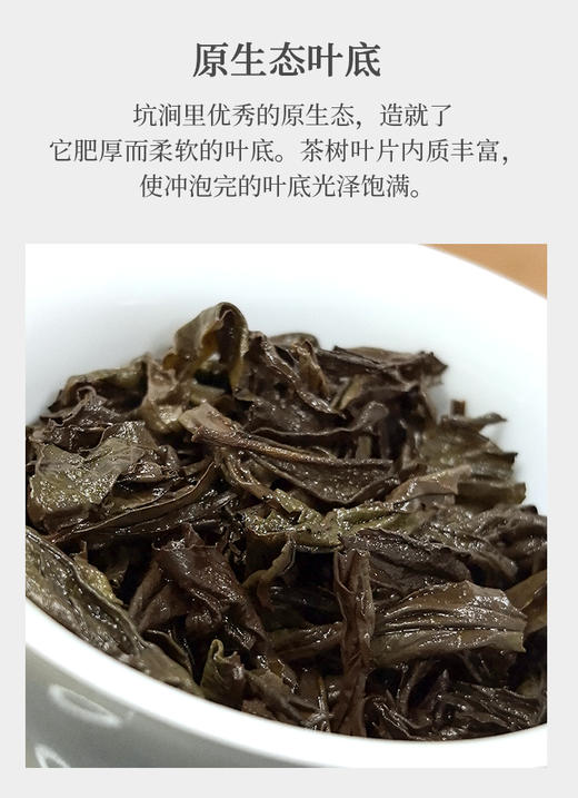 牛栏坑肉桂 坑尾 6泡 约50克 2025年 商品图4