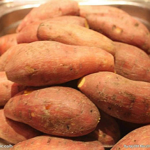 有机红薯🍠。5斤【红栗薯、黄栗薯】年度开售，放一放甜度高 商品图0