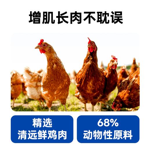 澳龙澳维康清敏呵护全价猫粮1.2kg赠50g试吃 商品图5