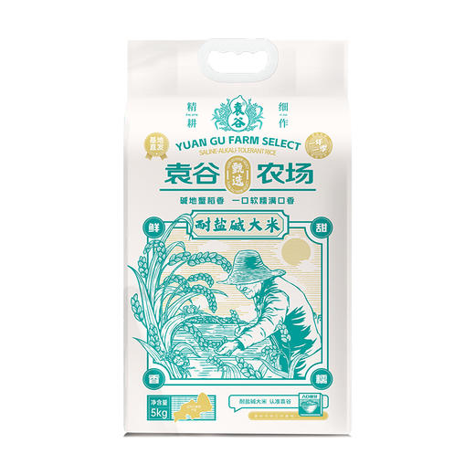 袁谷隆平芯米耐盐碱大米5kg东北大米盘锦粳米10斤真空装当季新米 商品图4