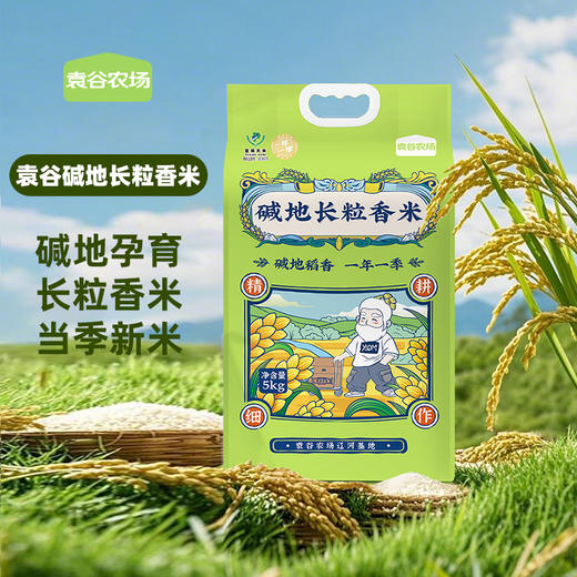 袁谷碱地长粒香米5kg东北粳米长粒香米劲道有嚼劲真空装10斤25年新米 商品图0
