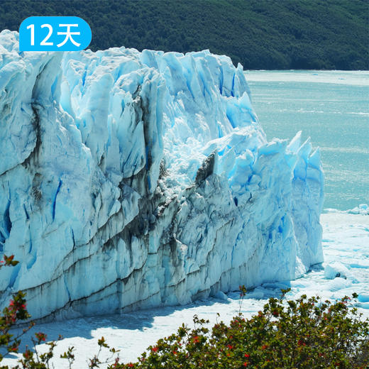 世界尽头，领略最全面最美最丰富的巴塔哥尼亚高光之旅12日 商品图4