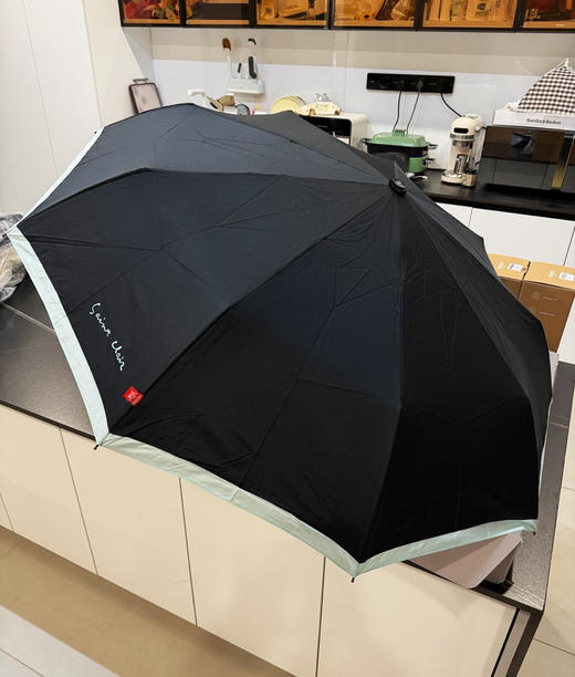 韩货原单自动晴雨伞九骨抗风 + 一键开伞 商品图1