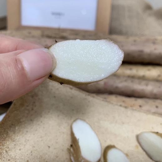 今年新挖的❗️8W2254农户自产自销-无公害小白嘴现挖山药 商品图5