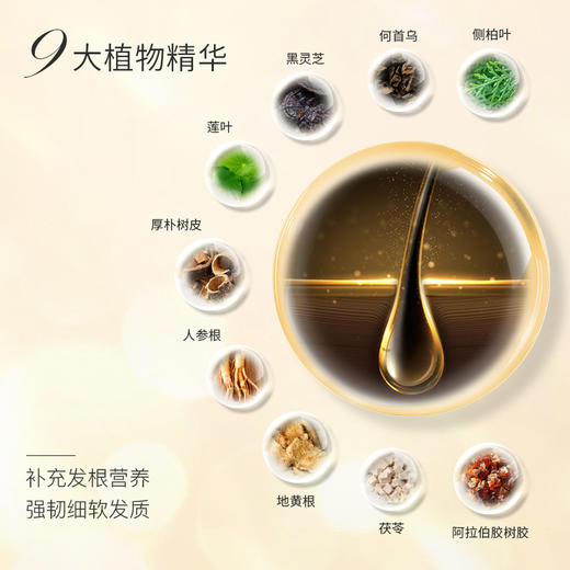 【🔥双12买玻尿酸套盒再任选三件】洁秘JIEMI净采去屑控油蓬松洗发水400ml（有效期至26年12月介意勿拍！！！） 商品图3