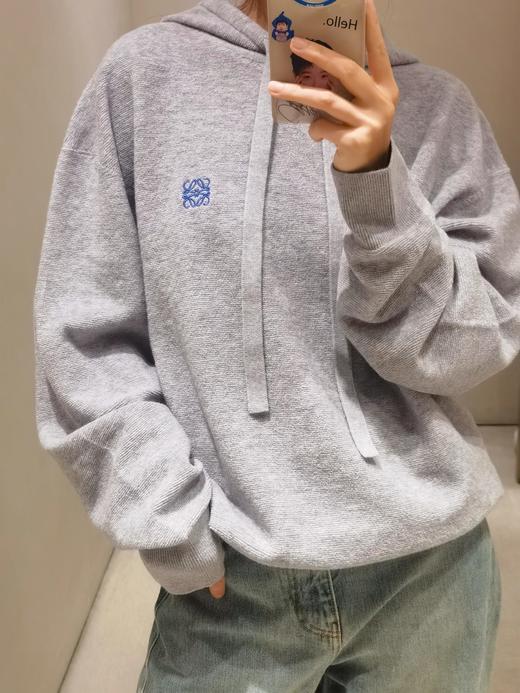 罗意威 25Fw早秋新款 Anagram 刺绣羊毛连帽针织衫 男女同款情侣系（DQJ*MM） 商品图1