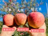 【仅卖30天】大凉山盐源红富士糖心丑苹果   果园直采酥脆可口果味香浓 商品缩略图2