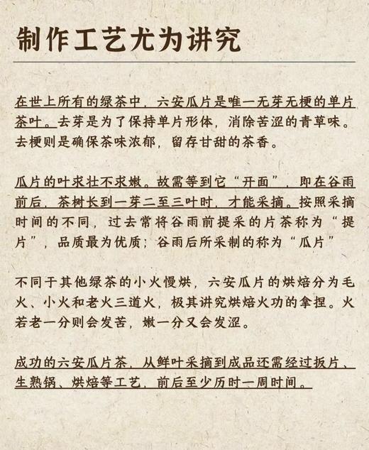 【双11：8包六安瓜片 送1盒石斛豆浆粉】六安瓜片 商品图4