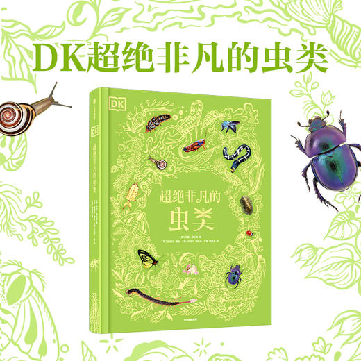 DK超绝非凡的虫类（DK典藏博物馆系列）-分销 商品图1