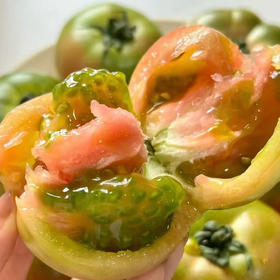 碱地番茄自然熟草莓柿子 5斤装