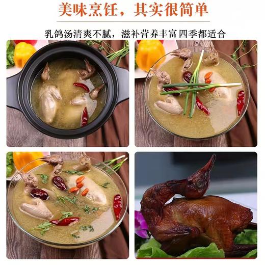 秋冬温补甄选！生态散养乳鸽350g±50g/只 无激素  1鸽胜9鸡  顺丰冷链 商品图1