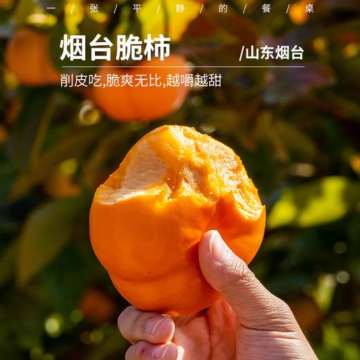 烟台脆柿子|  甜度略高，风味好，口感硬脆甜，果皮比之前的薄，皮有涩感，建议削皮吃⭐️京东快递 商品图0