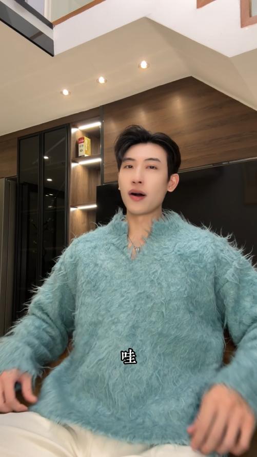 72376SDSA男士秋冬新款痞帅男装老钱风纯色V领毛衣百搭宽松套头上衣潮 商品图0