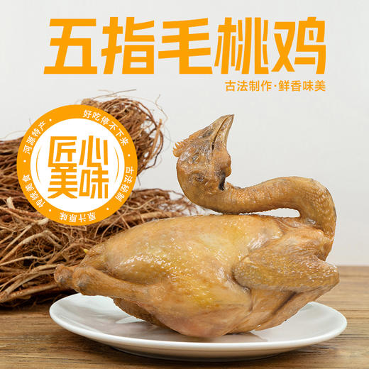 【靓腊哥】五指毛桃鸡500g（仅发广东省内） 商品图0