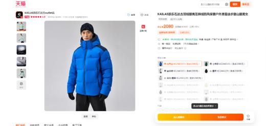 蓬松度700+，登山滑雪羽绒服。充绒量270克+の户外鹅绒服C110860 商品图5