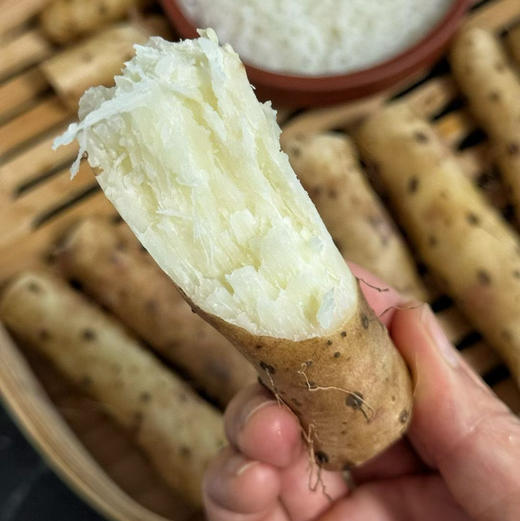 【秒杀款】温县垆土铁棍小山药 4.8-5斤 （长约25公分左右）会有断的山药情况 不影响食用 介意慎拍 商品图0