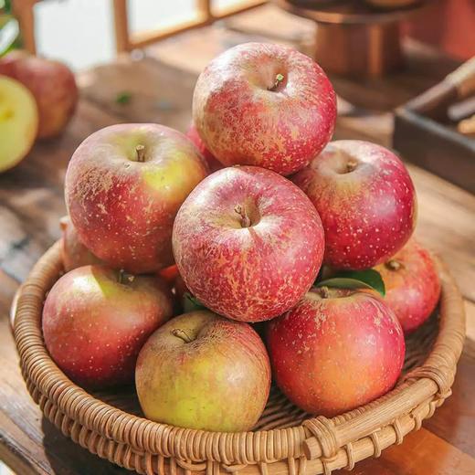 大凉山丑苹果 商品图0