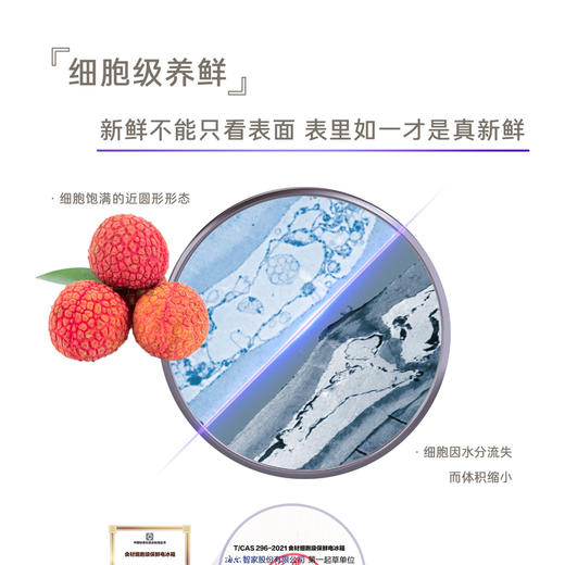 卡萨帝（Casarte）冰箱 BCD-502WGCFDA4WKU1 商品图9