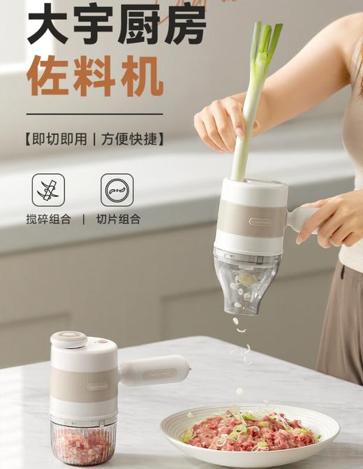 大宇手持绞肉机切片切丝切电动菜机 HM01 商品图1