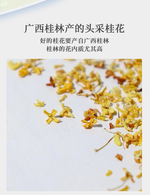 广西桂林头采桂花 20克 新花 商品图2