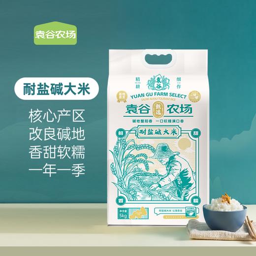 袁谷隆平芯米耐盐碱大米5kg东北大米盘锦粳米10斤真空装当季新米 商品图0