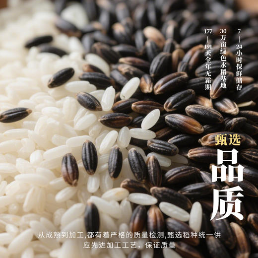 黑青稞混合粮 商品图2