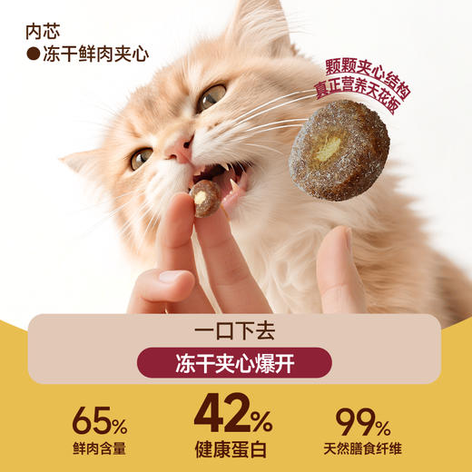 【首发】喵铮铮高蛋白冻干夹心全价鲜肉猫粮成猫幼猫益生元亲民猫粮 商品图1