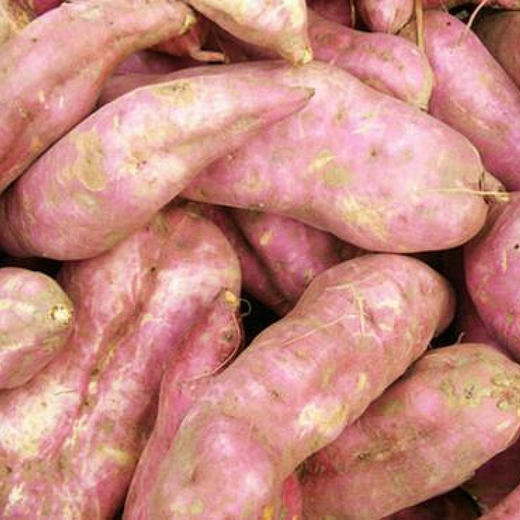 有机红薯🍠。5斤【红栗薯、黄栗薯】年度开售，放一放甜度高 商品图1