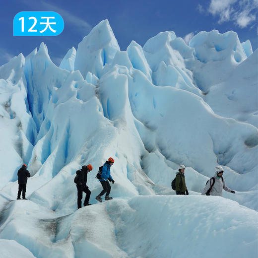 世界尽头，领略最全面最美最丰富的巴塔哥尼亚高光之旅12日 商品图5