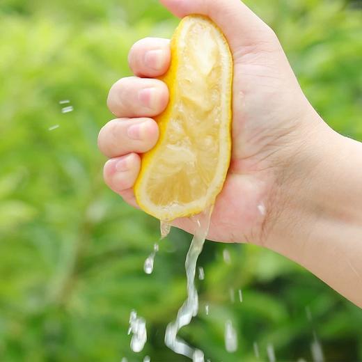 安岳黄柠檬 商品图1