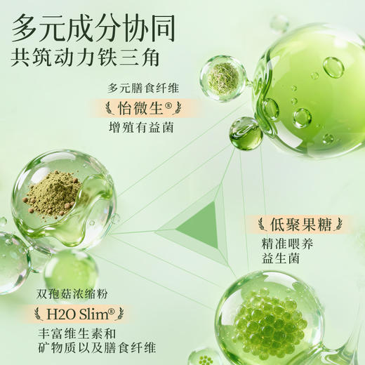 恒寿堂 噗噗粉 人参火麻仁膳食纤维粉 商品图2