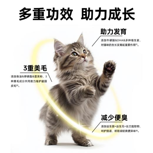 澳龙澳维康清敏呵护全价猫粮1.2kg赠50g试吃 商品图6