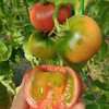 碱地番茄自然熟草莓柿子 5斤装 商品缩略图9