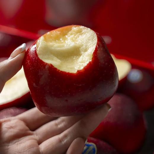 进口新西兰红玫瑰苹果 商品图3