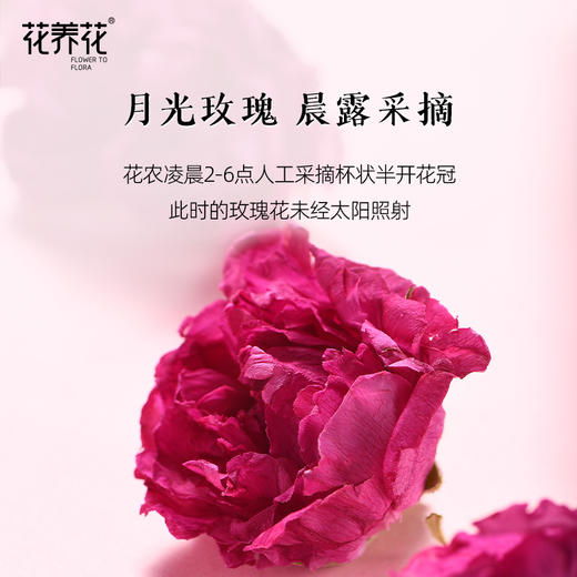 花养花冻干玫瑰鲜花茶绿色无硫熏大朵重瓣食用泡茶玫瑰茶16g 商品图1