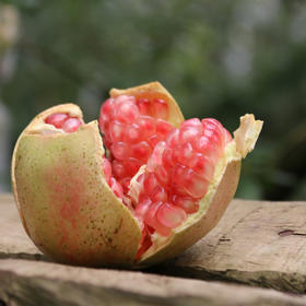 【云南.蒙自石榴】新鲜采摘 果粒饱满 晶莹剔透 入口甘甜多汁  满口余香