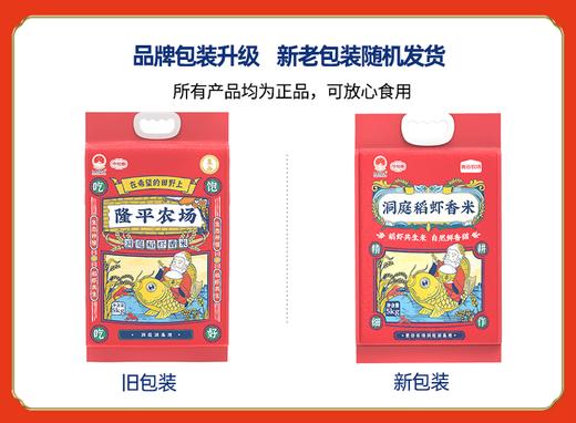 袁谷洞庭稻虾香米5kg一年一季稻洞庭湖基地核心产区口感松软弹滑米香浓郁南方一级籼米10斤当季新米 商品图4