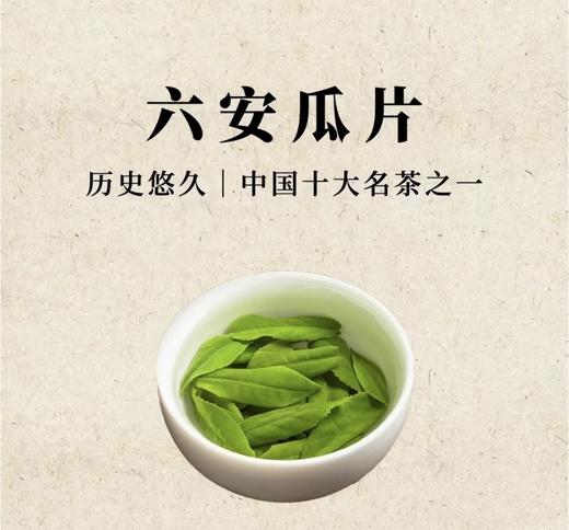 【双11：8包六安瓜片 送1盒石斛豆浆粉】六安瓜片 商品图0