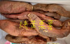 有机红薯🍠。5斤【红栗薯、黄栗薯】年度开售，放一放甜度高 商品缩略图2
