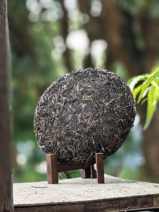 【蜜蜂塘高杆】2024年春茶，非富即贵，一泡难求真正的数百年荒放高杆茶，首发机制拉满！抢2片赠1片！3片赠2片！规格：357克/片 商品图2