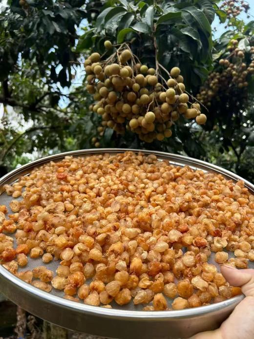 石硖桂圆肉：1000克/2罐 商品图2