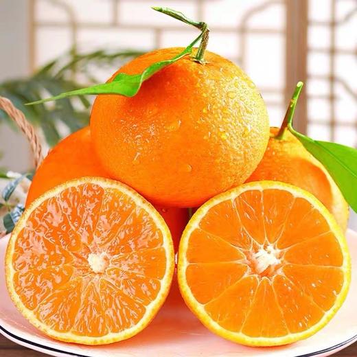 四川爱媛果冻橙 商品图0