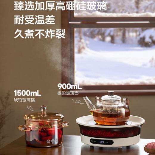 蓝宝（BLAUPUNKT）仿真碳火围炉煮茶器套装全玻璃0胶水养生壶恒温电陶炉露营家用野营电围炉 商品图1