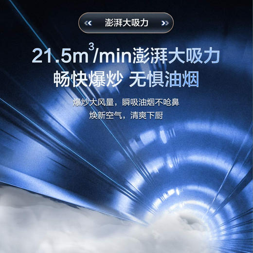 海尔（Haier）烟机 CXW-219-E900T23 商品图8