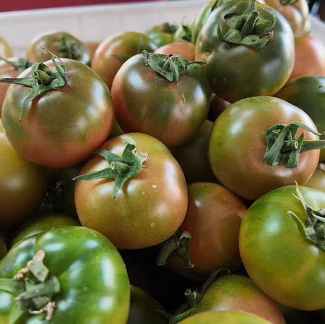 碱地番茄自然熟草莓柿子 5斤装 商品图13