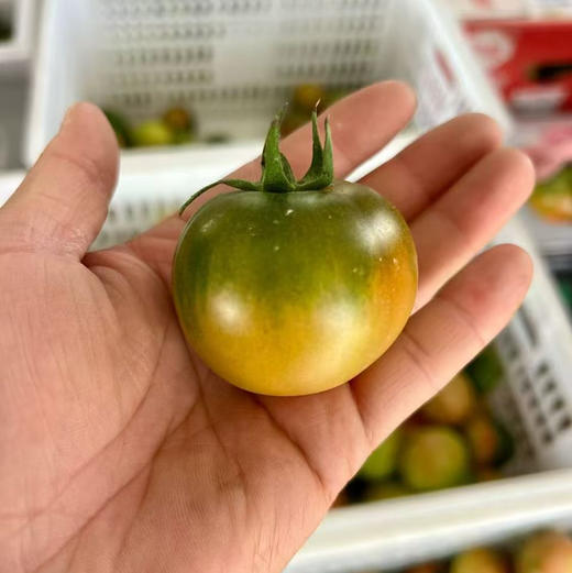 碱地番茄自然熟草莓柿子 5斤装 商品图11