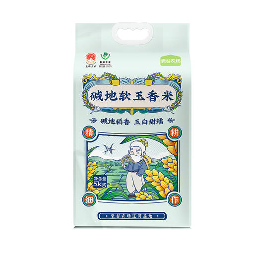 袁谷碱地软玉香米5kg盘锦碱地大米10斤口感软糯回味甘甜当季新米 商品图4