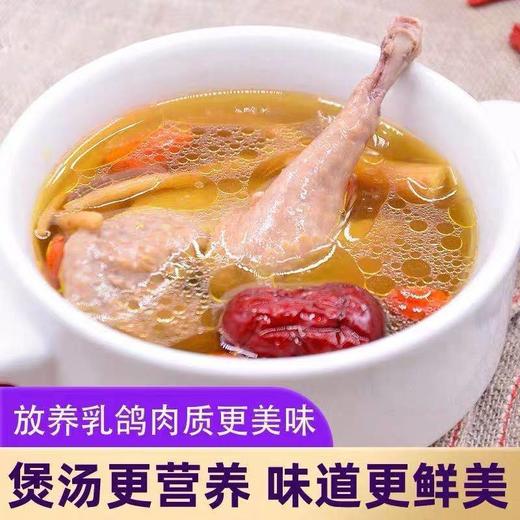 秋冬温补甄选！生态散养乳鸽350g±50g/只 无激素  1鸽胜9鸡  顺丰冷链 商品图8