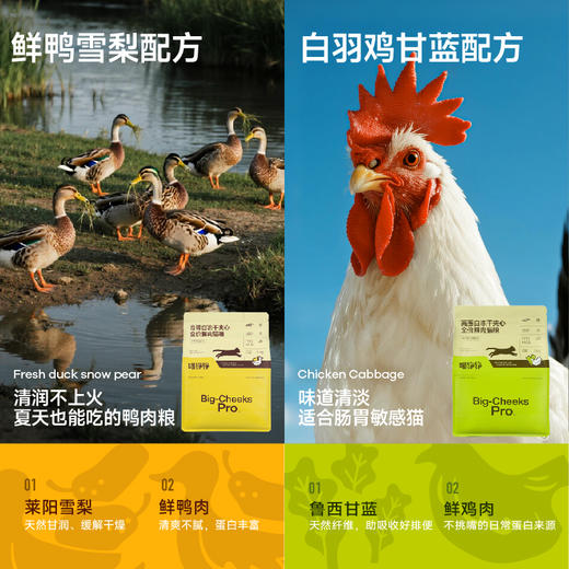 【首发】喵铮铮高蛋白冻干夹心全价鲜肉猫粮成猫幼猫益生元亲民猫粮 商品图3