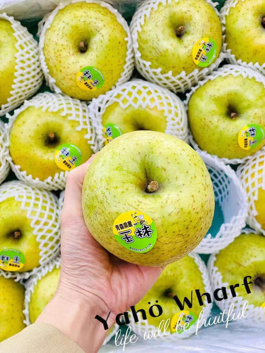 【进口】日本*王林苹果，脚步到不了的地方，舌尖可以丈量，吃过这个其他苹果就差点意思。 商品图2